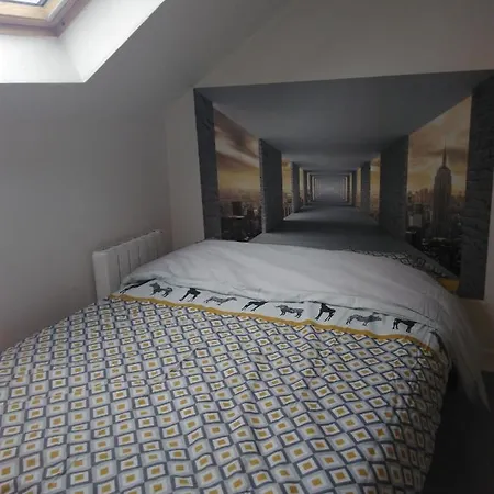 F2 Duplex Centre Ville * 레뮈로